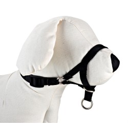 DOG CONTROL N.2 28cm