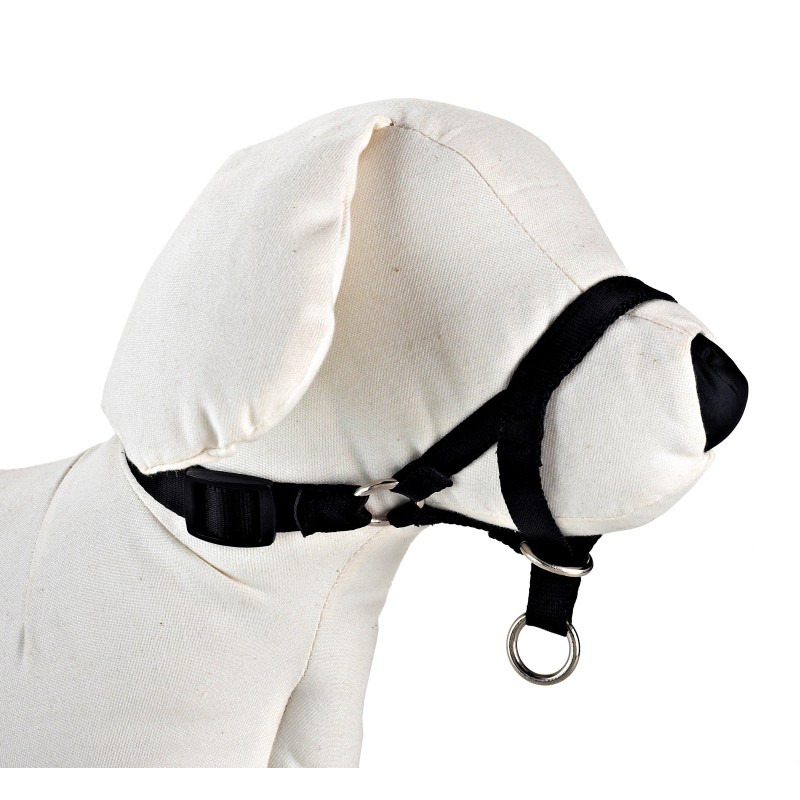 DOG CONTROL N.2 28cm