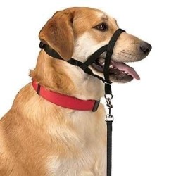 DOG CONTROL N.4 38cm