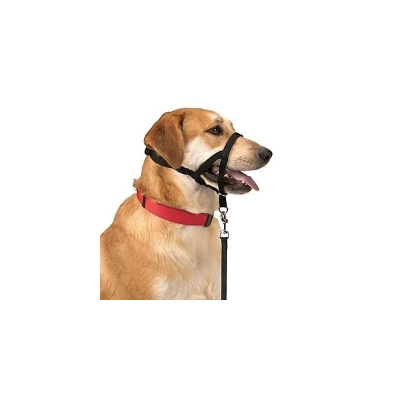 DOG CONTROL N.4 38cm