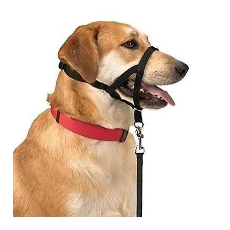 DOG CONTROL N.4 38cm