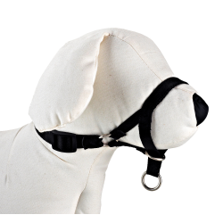 DOG CONTROL N.6 44cm