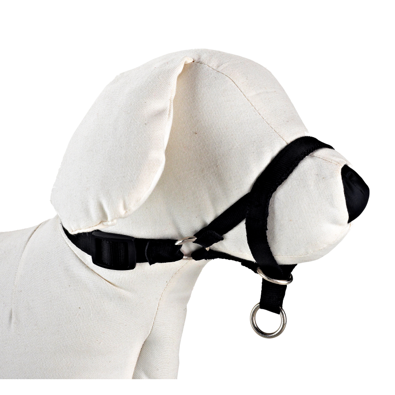 DOG CONTROL N.6 44cm