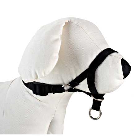 DOG CONTROL N.6 44cm