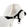 DOG CONTROL N.6 44cm