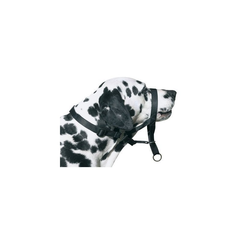 DOG CONTROL N.7 BOXER 54cm
