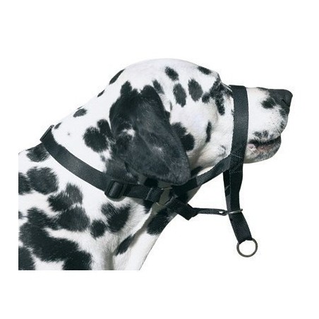 DOG CONTROL N.7 BOXER 54cm