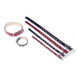 COLLAR CUERO FORNITURE 2X45 cm