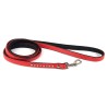 CORREA PIEL LUXURY SUPER  ZIRCON 1,2X130 CM