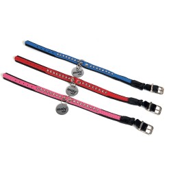 COLLAR GATO PIEL ZIRC/ELAST 1X30 CM