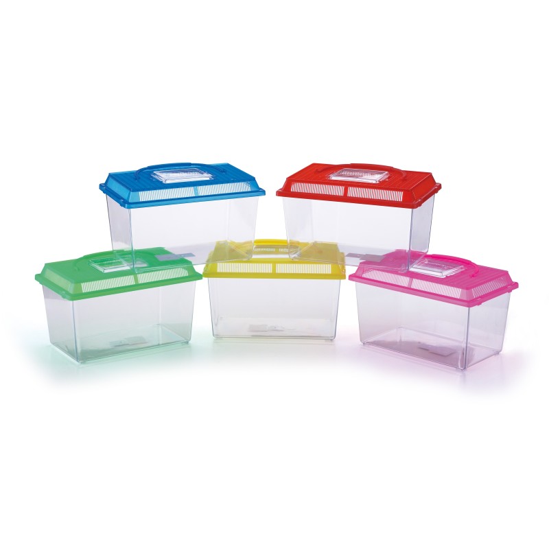 PECERA PLASTICO PEQUEÑA 18X11X14 cm