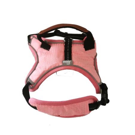 Arnes Pink confort Moly Talla S