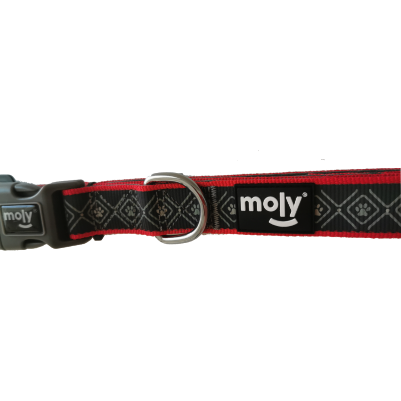 COLLAR MOLY NEOPRENO RAINBOW REFLECT T-S COLLAR MOLY NEOPRENO RAINBOW REFLECT T-S