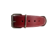 Collar de Cuero Doble para Mascotas - Elegancia y Resistencia