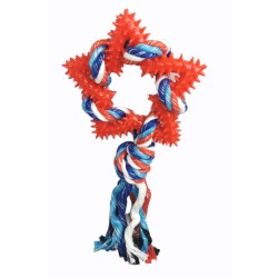 Mordedor Estrella Dental TPR 26cm - Juguete para Perros Divertido