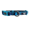 Collar Moly Limited 2.0: Estilo y Comodidad para Tu Mascota