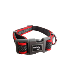 Collar Neopreno Rainbow Reflect T-S para tu Mascota