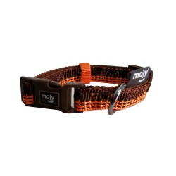 Collar para Perros Moly: Diseño Exclusivo y Resistente