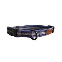 Máxima calidad: Collar para perros MOLY con diseño exclusivo