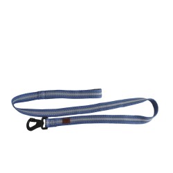 Correa para Perros Moly: Estilo y Resistencia Inigualables