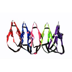 ARNES NYLON CONFORT 2cm
