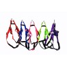 ARNES NYLON CONFORT 2cm