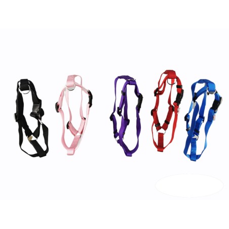 ARNES NYLON LISO 70-90 CM X 2,5 CM
