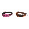 COLLAR PARA PERROS MOLY DISEÑO EXCLUSIVO