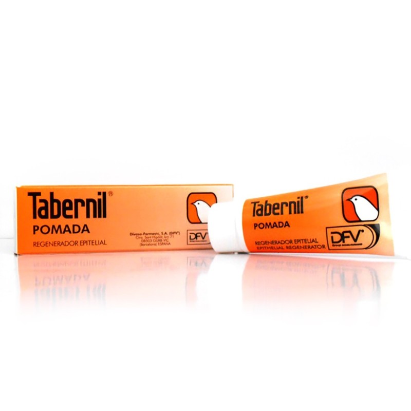 TABERNIL POMADA 9,25 G TABERNIL POMADA 9,25 G