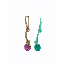 MORDEDOR TPR COLECTION DIOR PET