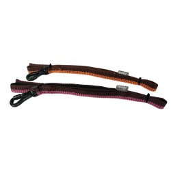 Correa Moly Confort: comodidad y seguridad para tu perro