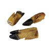 Manitas de Cerdo Naturales para Perros - Snack Saludable