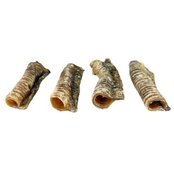 Tráquea Natural para Perros 14-17 cm: Delicia Saludable