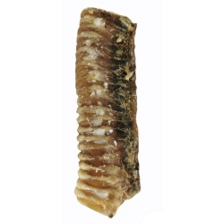 Tráquea Natural para Perros 14-17 cm: Delicia Saludable