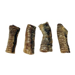 Tráquea Natural para Perros 14-17 cm: Delicia Saludable