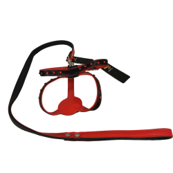 Collar y Ramal de Piel con Pedrería para Perros Elegantes