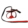 Collar y Ramal de Piel con Pedrería para Perros Elegantes