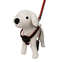Collar y Ramal de Piel con Pedrería para Perros Elegantes