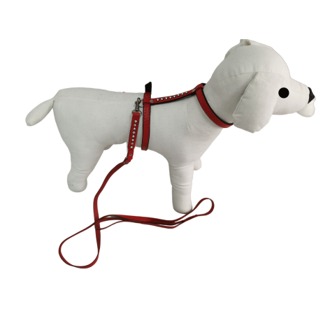 Collar y Ramal de Piel de Vacuno con Pedrería para Mascotas