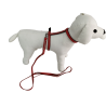 Collar y Ramal de Piel de Vacuno con Pedrería para Mascotas