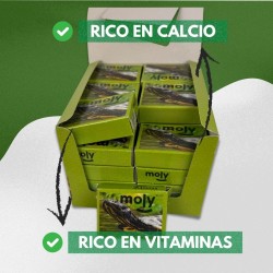 Suplemento de Calcio para Tortugas | Salud y Bienestar