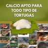 Suplemento de Calcio para Tortugas | Salud y Bienestar