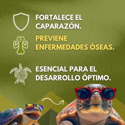 Suplemento de Calcio para Tortugas | Salud y Bienestar