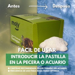 Suplemento de Calcio para Tortugas | Salud y Bienestar