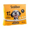 Collar Antiparasitario para Perros Scalibor Un Año de Protección