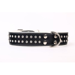 Collar Piel Luxury Cristal 75 cm: Elegancia para tu Mascota
