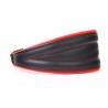 Collar de Piel Luxury para Galgos 40cm - Estilo y Calidad