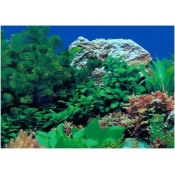 PAPEL DECORATIVO 30cm X 15 m