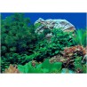 PAPEL DECORATIVO 30cm X 15 m
