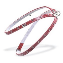 Petral Cuero Forrado 45cm para Perros | Comodidad y Estilo